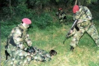 kalibar14