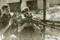 zemunik91