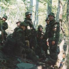 ratnazona1999tf6
